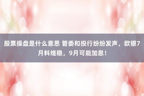 股票操盘是什么意思 管委和投行纷纷发声，欧银7月料维稳，9月可能加息！