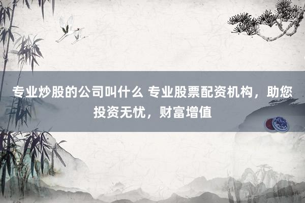 专业炒股的公司叫什么 专业股票配资机构，助您投资无忧，财富增值